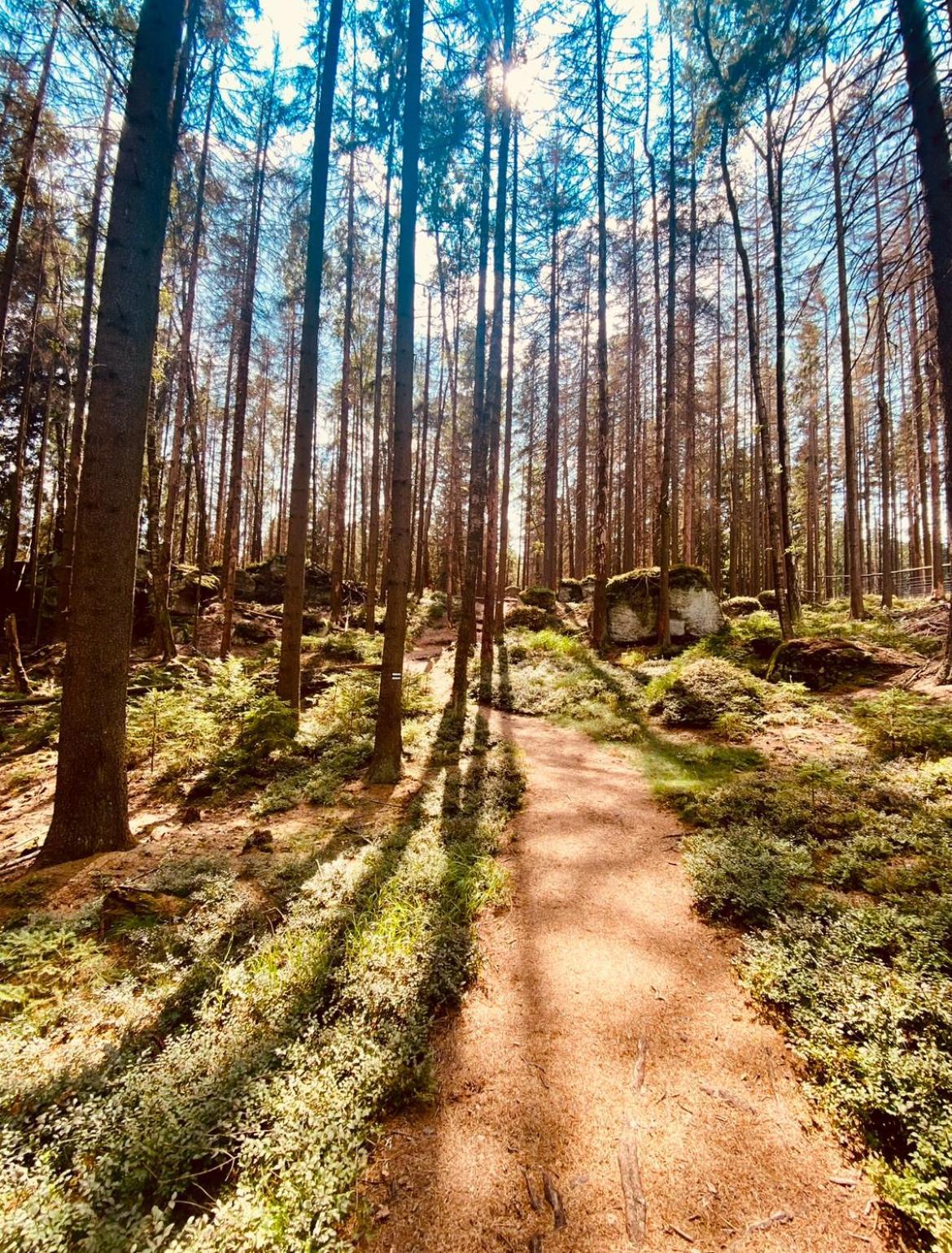 Stodola Na Widoku Radkow Exterior foto